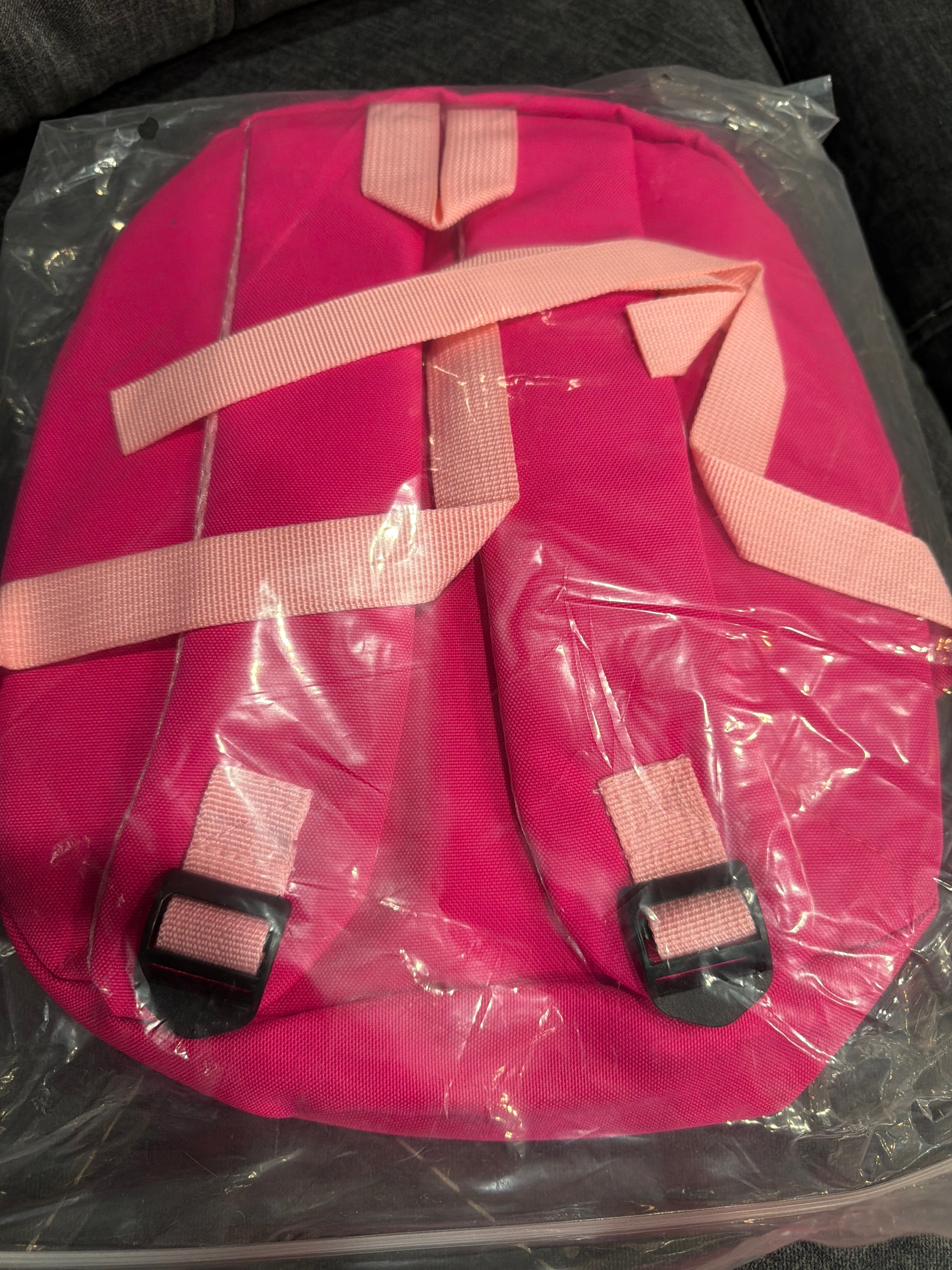Kids Pink Princess Character Backpack – Girls School Bag